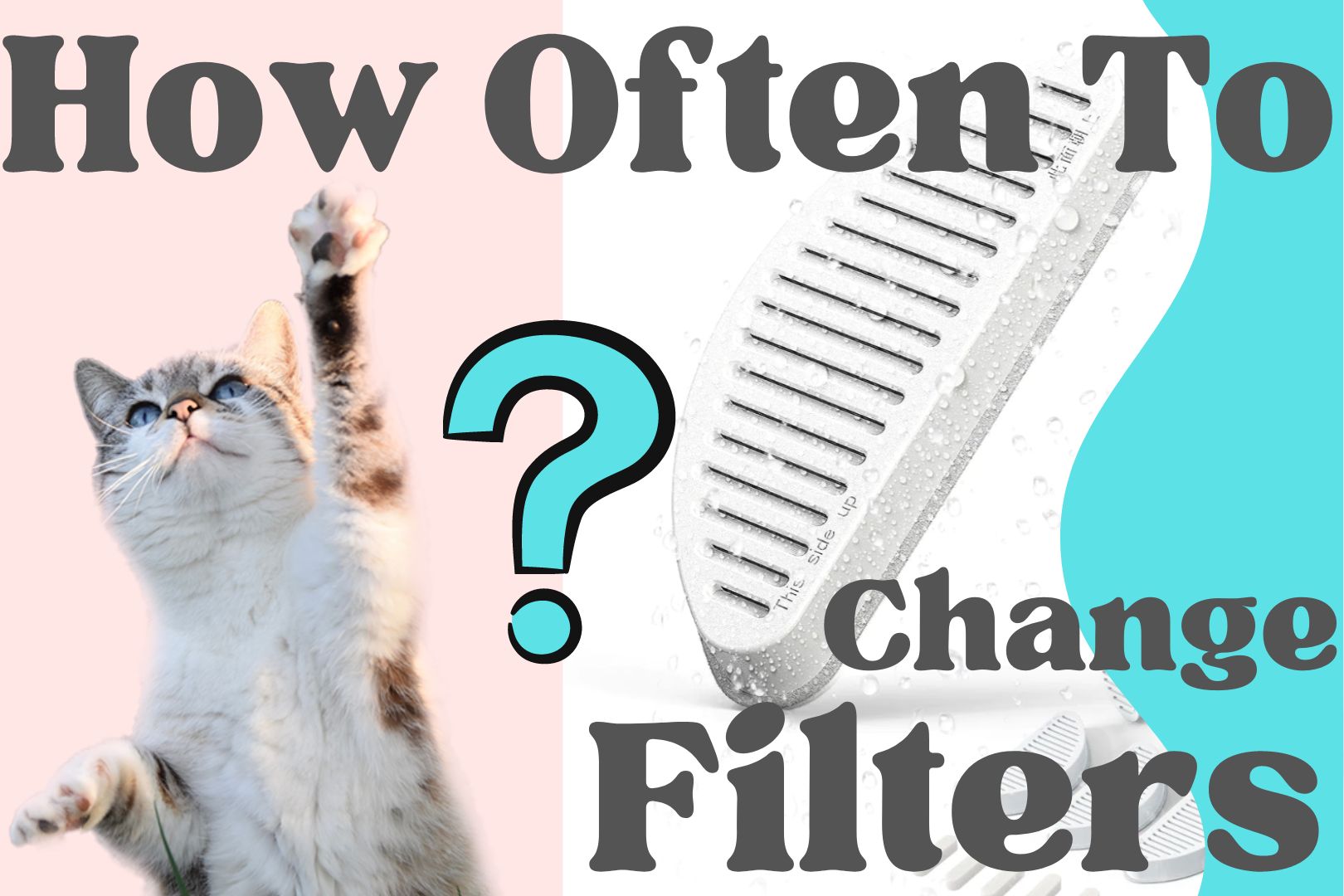 Cat drinking outlet fountain filters