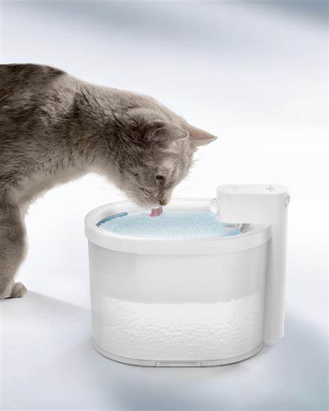 Cat water fountain get hot sale slimy