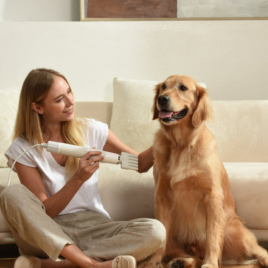 Best Practice to Dry Your Large Dog's Coat in 30 Minutes with Dog Hair Dryer