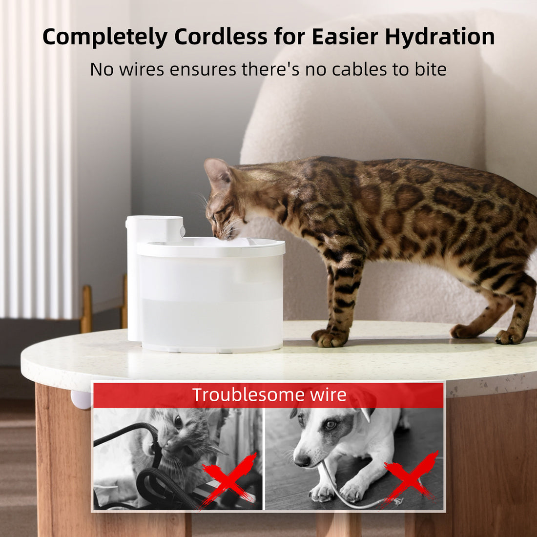 Cats can drink water safely through the Uahpet wireless pet water fountain