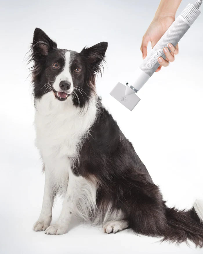 Dog and Uahpet air purifier