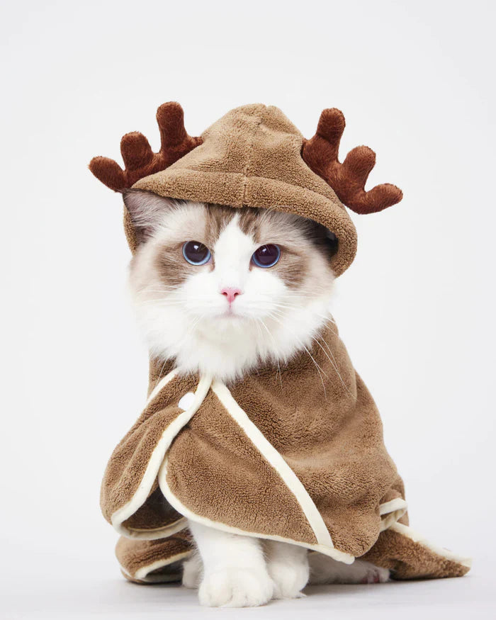 Kitten wearing elk antler clothes.