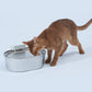 Uah Pet Stainless Steel Wireless Pet Water Fountain（FB）