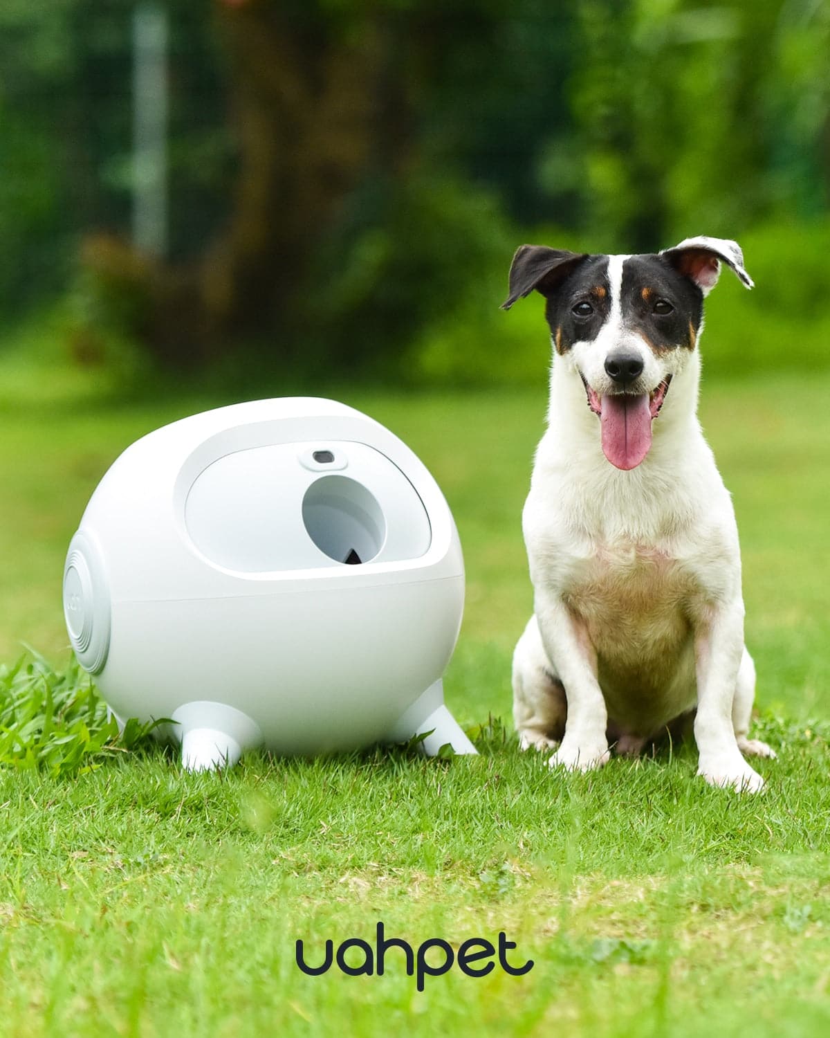 Uahpet iRetriever Automatic Dog Ball Launcher Thrower