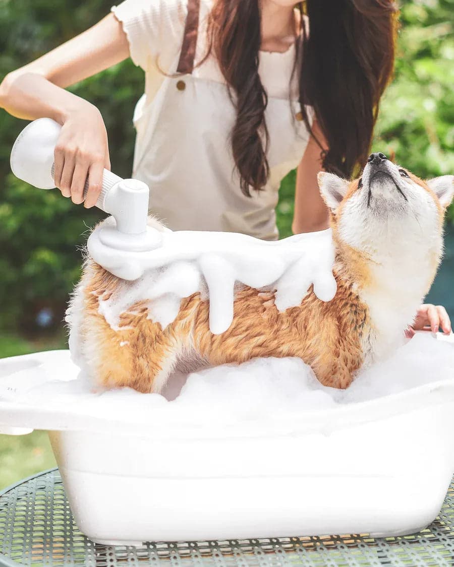 Happy Doggo Bath Brush – DoggosEmporium