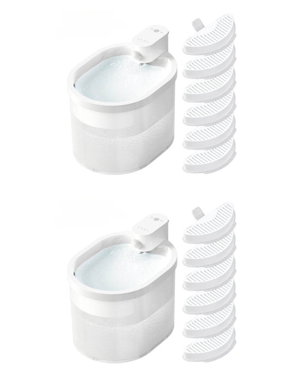 Double Classic Fountain Set