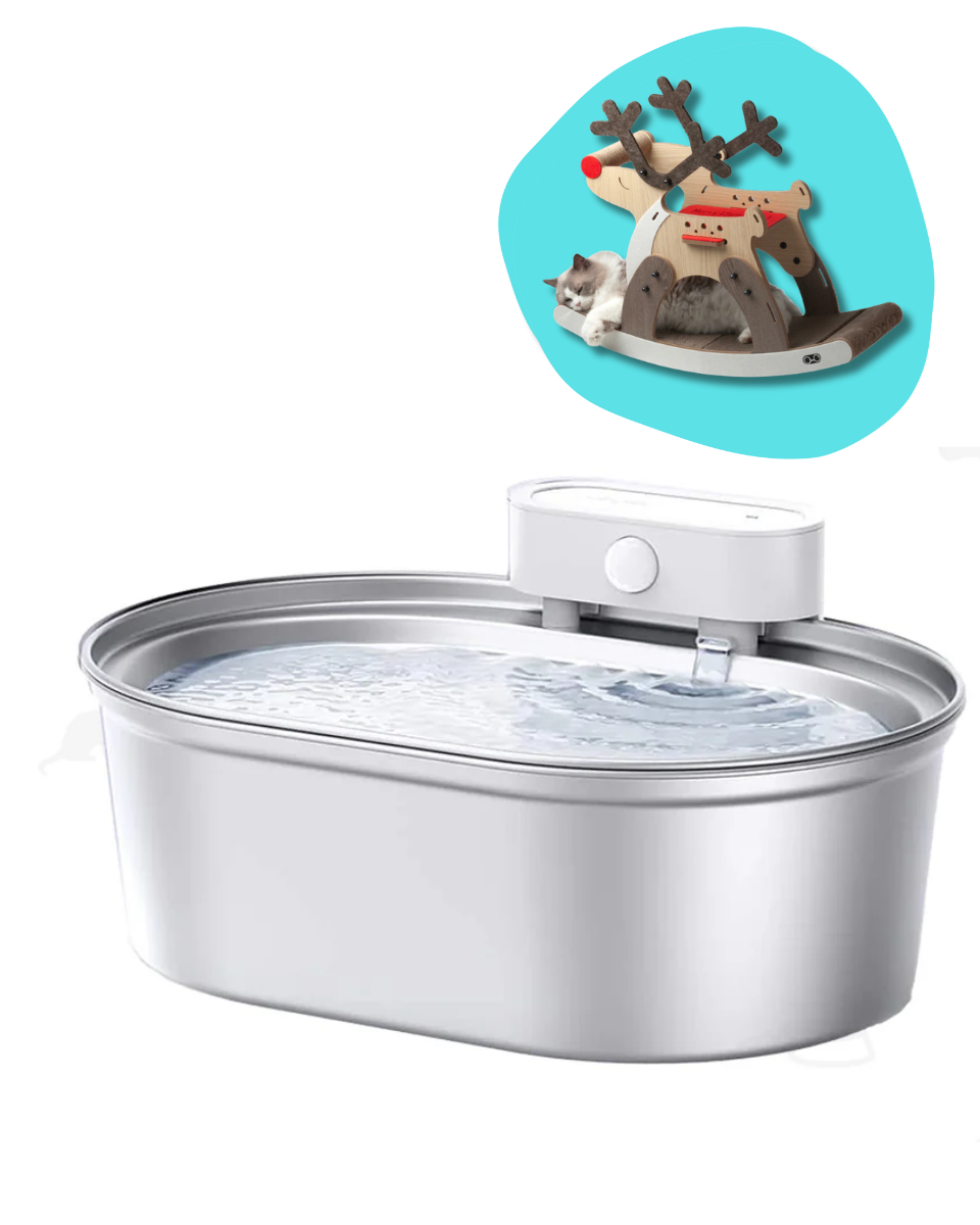 Bogo Sale Stainless Steel Fountain (Basic) & Rocking Reindeer Style