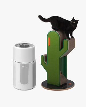 Christmas Bundle Specials - Cat Tree & Air Purifier