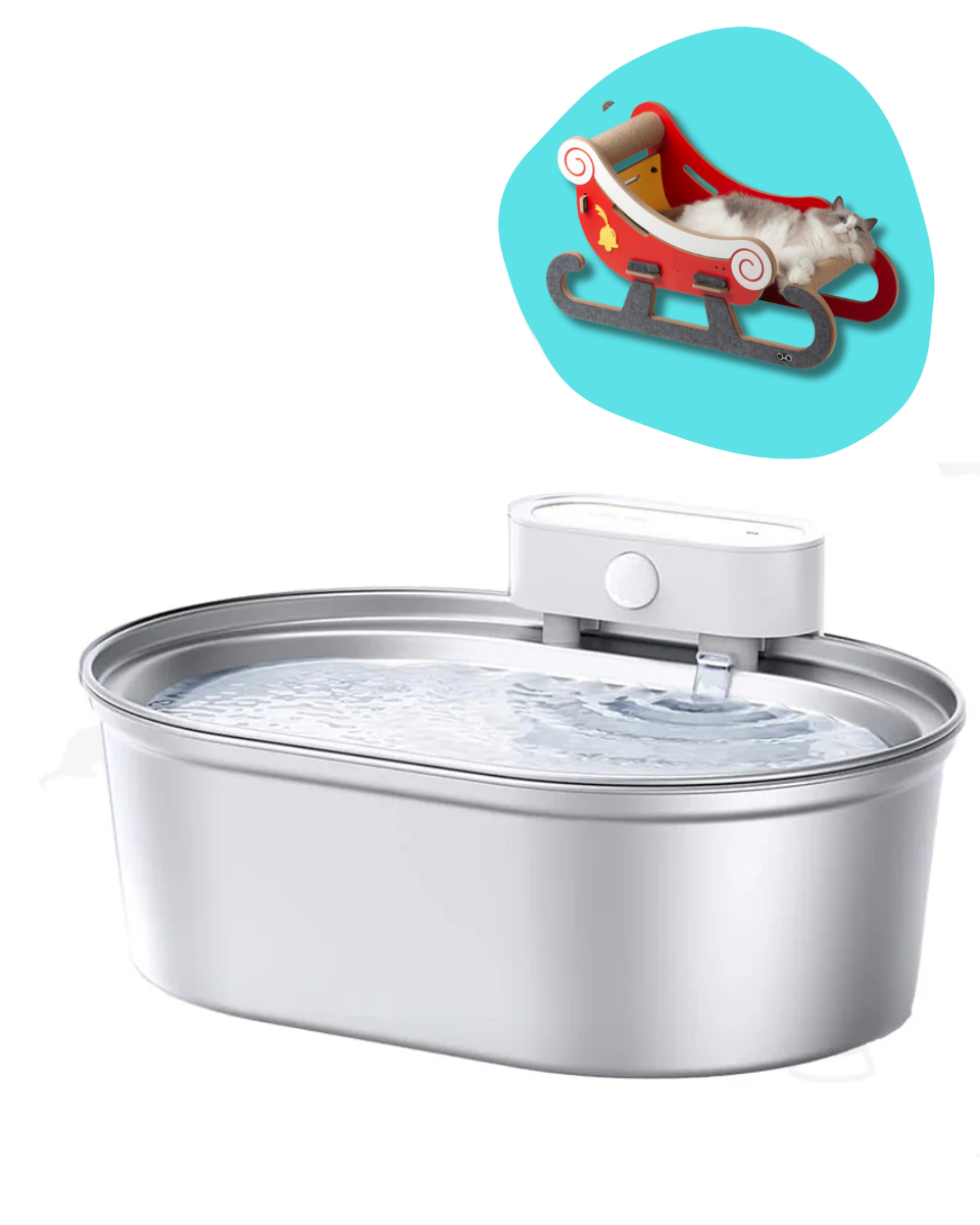 Bogo Sale Stainless Steel Fountain (Basic) & Cat Tower - Snowmobile Style