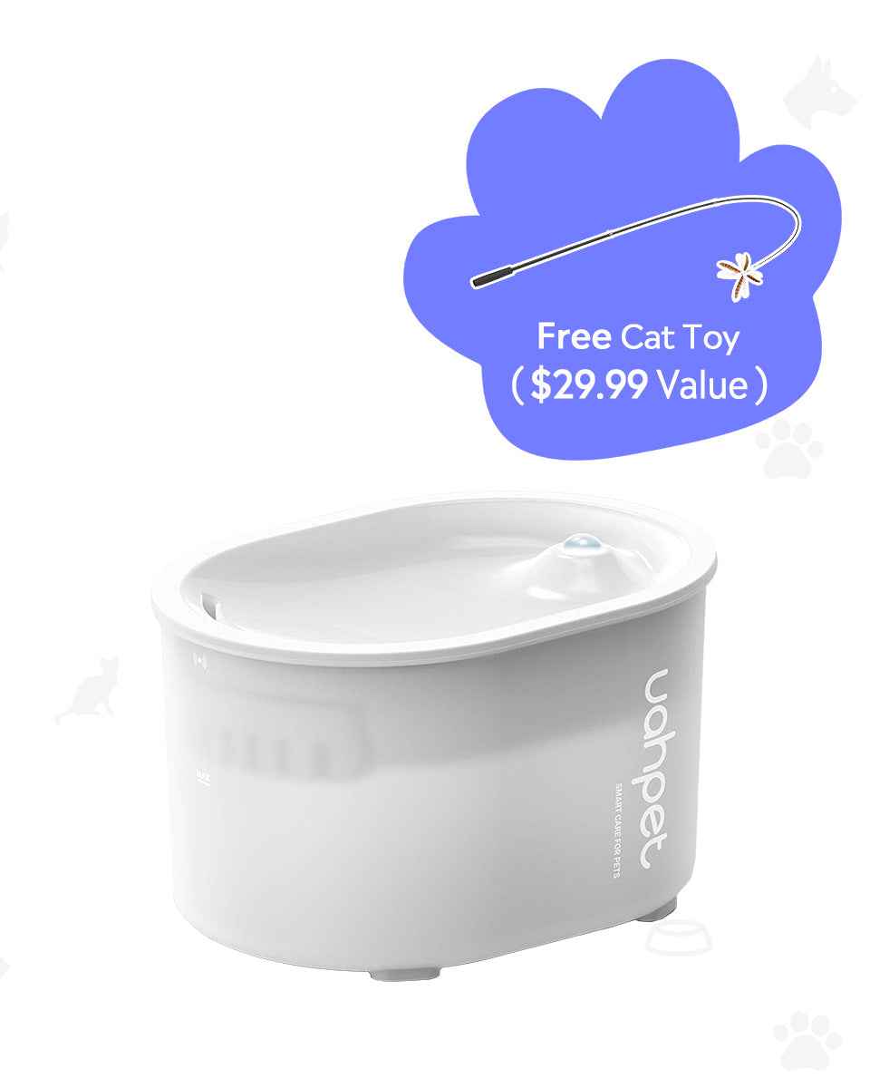 [BOGO] GLOW Wireless Water Fountain With LED Light & Free Cat Wand Toy