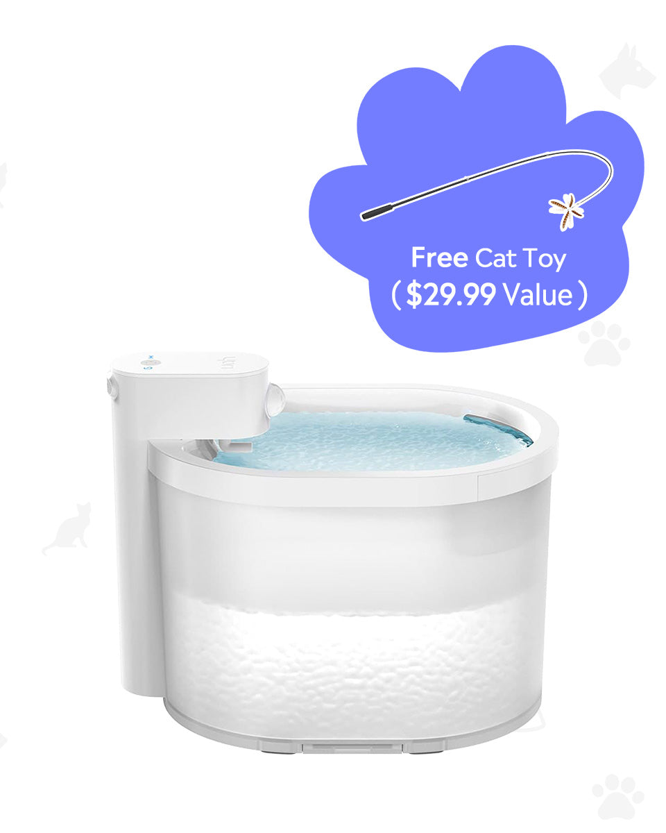 [BOGO] Wireless Cat Water Fountain & Free Cat Wand Toy