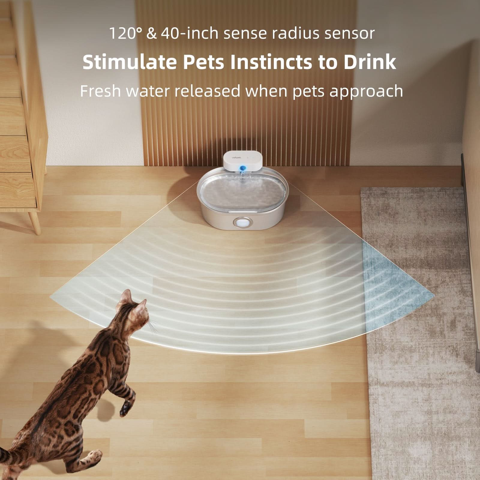 Ideal cat feeding combination (water fountain + Elevated Cat Bowls)