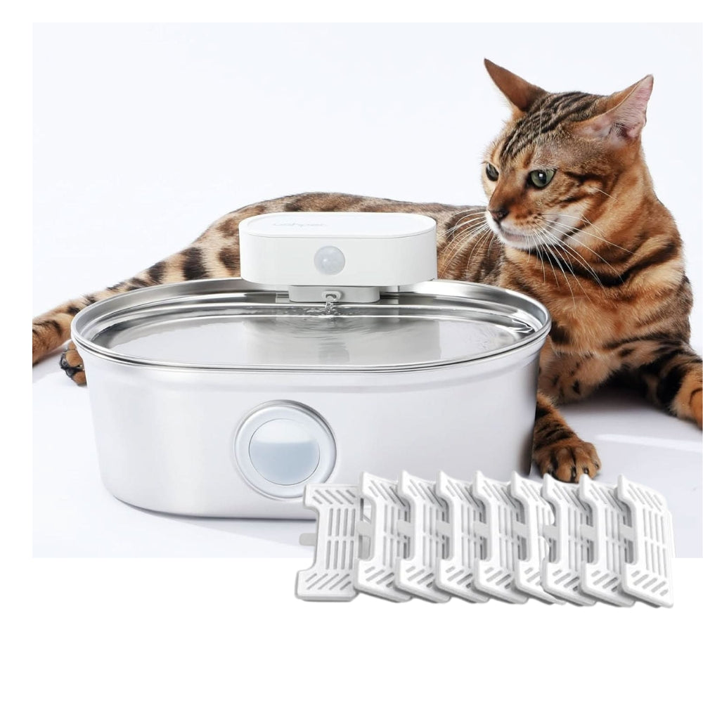 uahpet Upgrade Visible Stainless Steel Cat Water Fountain Pro（FB）