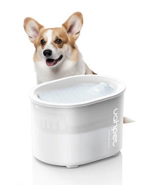 Uah Pet GLOW Wireless Dog Water Fountain With LED Light