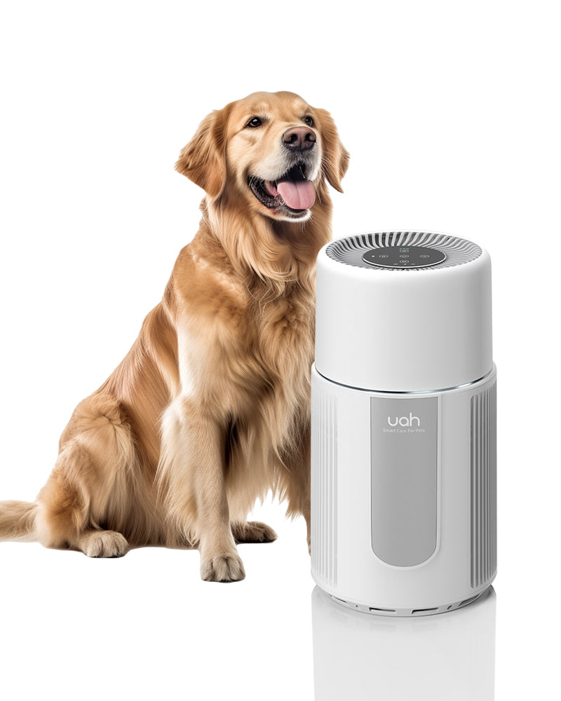 Uah Pet Air Purifier for Dog and Cat Family