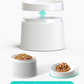 Ideal cat feeding combination (water fountain + Elevated Cat Bowls)