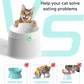 Best Bundle for cat (water fountain + Elevated Cat Bowls)