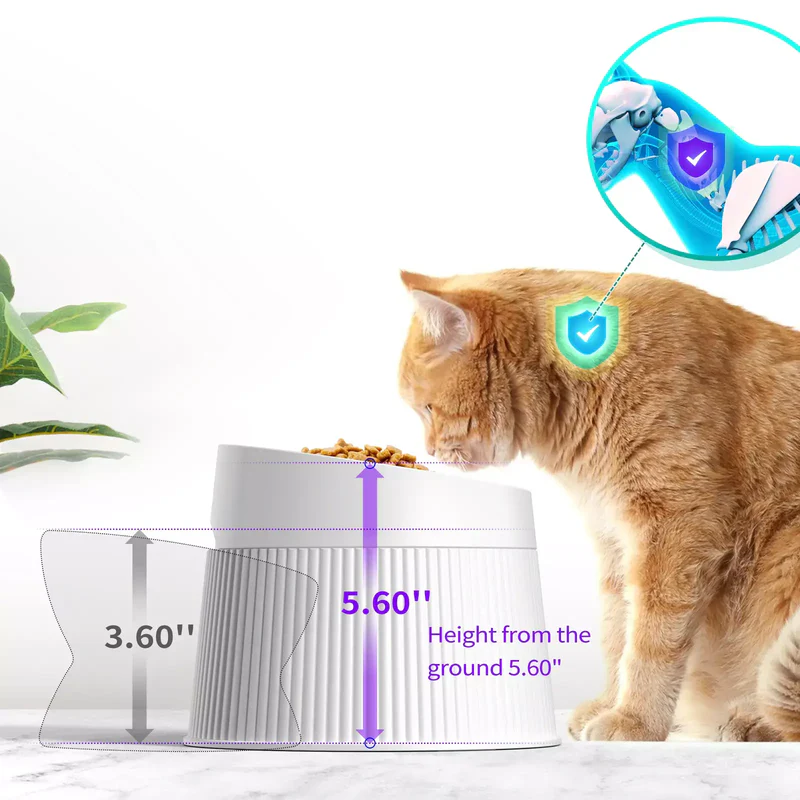 Ideal cat feeding combination (water fountain + Elevated Cat Bowls)