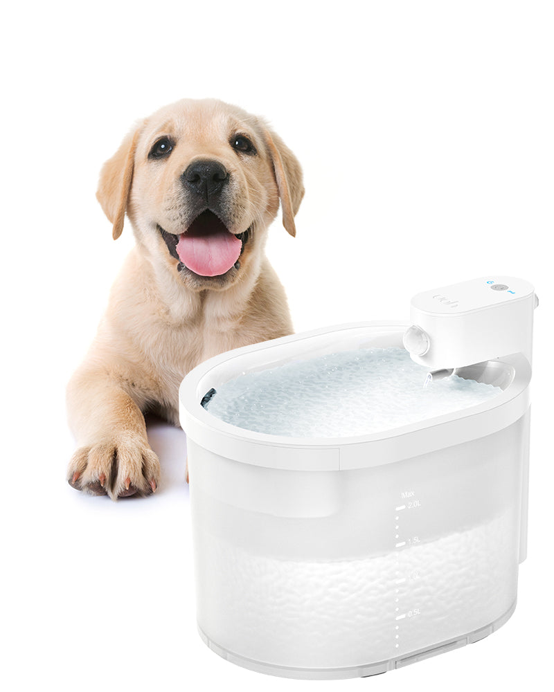 Uah Pet ZERO Automatic Water Fountain for Dog