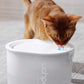 Cats interested in glow led light, glow cat water fountain help them take in more water