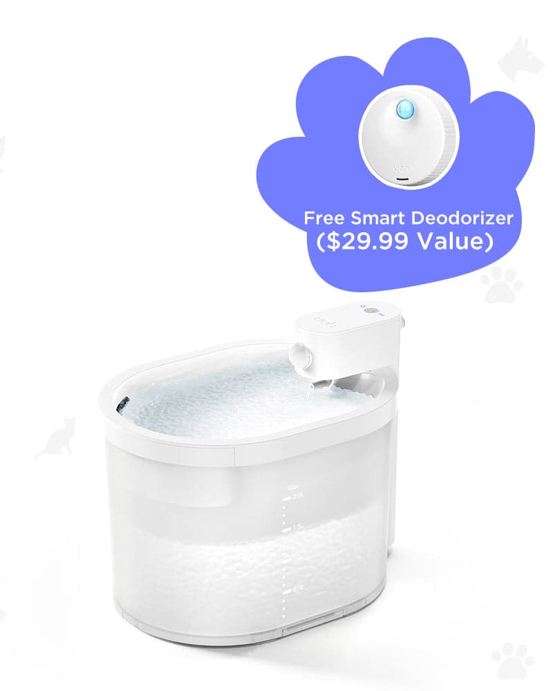 [BOGO] Wireless Cat Water Fountain & Free Smart Litter Deodorizer