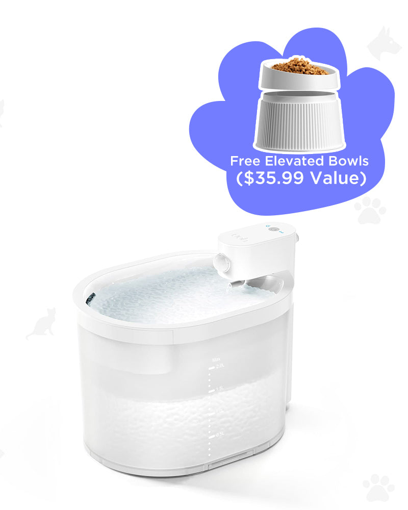 [BOGO] Wireless Cat Water Fountain & Free Cat Bowl
