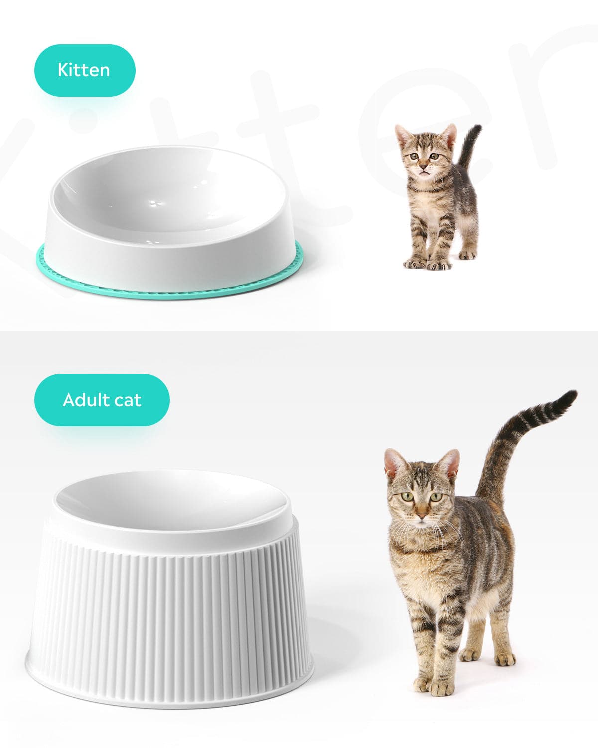 Uahpet Best Raised Elevated Cat Food Bowls