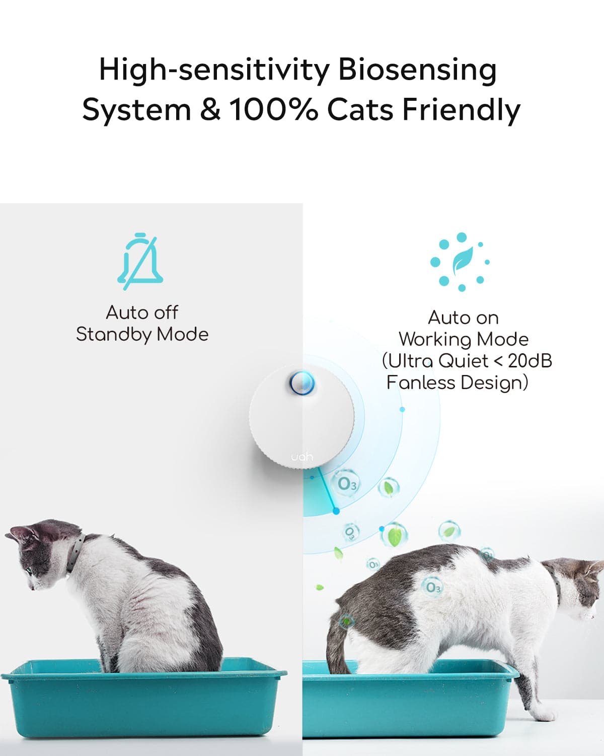 Cat litter odor eliminator best sale